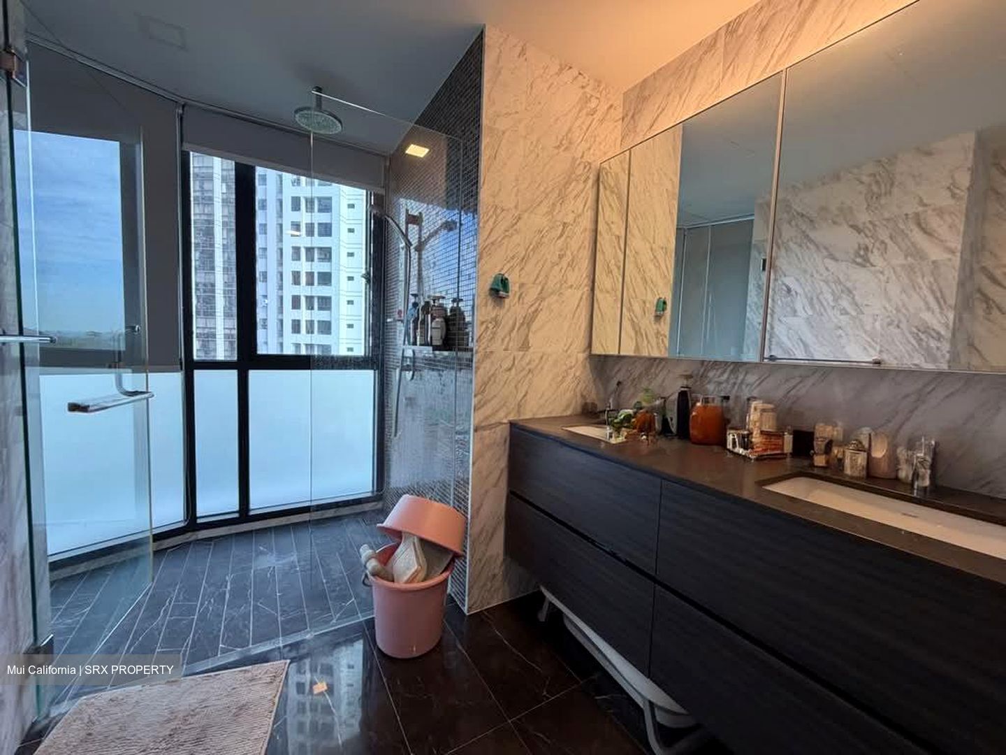 Amber Skye (D15), Apartment #574481061